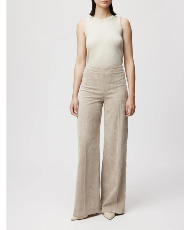 pantalon velours before